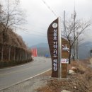 괴곡성벽길 이미지