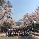 진주제일여자고등학교 이미지