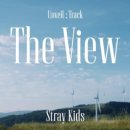 더뷰 (The View) 네이버블로그