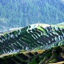 계림유스호스텔 이미지