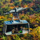 남측매표소 화장실 이미지