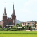 앞섬상회 이미지