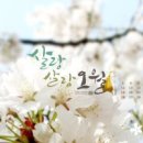 캘리그라피 이미지