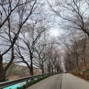 고남저수지 일원 이미지
