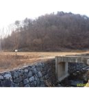 남산초교길 이미지