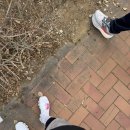 달구씨 | [송도단축마라톤] 삼일절기념 하프마라톤 후기