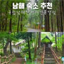 남해편백자연휴양림 | 국립 남해 편백자연휴양림 남해 가성비 가족 숙소 추천