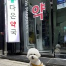 우리다온약국 이미지