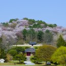 장수누리파크오토캠핑장 이미지