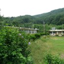 내와분교 이미지