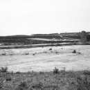 삼달2리 이미지