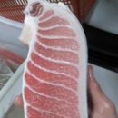 오도로참치 이미지