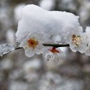 직업소개소·아웃소싱 회사 창업 및 취업 세미나 : 근로자 파견, 직업소개소, 도급, 경비, 시설관리, 미화 등 -4기 5차(7. 25. 토) 이미지