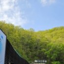 단양 무지개 오토캠핑장 이미지