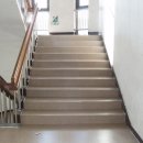 대지-2010 이미지