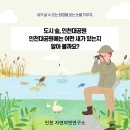 자연의벗연구소 | [자연의벗연구소] 인천, 새로 배우다. - 인천대공원 탐조 후기 -