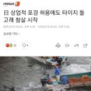 더럽고 추악한 일본 포경산업의 민낯을 까발리는 다큐멘터리 1편 (분노주의, 역겨움주의, 눈물주의) 이미지