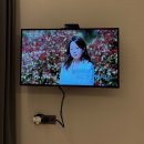양양르부르낙산더오션 | 강원도 양양 르부르 낙산 호텔 | 가성비 오션뷰 호텔 후기