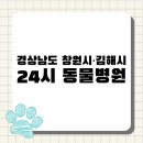 용동물병원 | [전국 24시 동물병원 지도 #56] 창원시·김해시 편 : 경남 중심부를 지키는 24시 응급 의료망