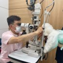 일곡동물병원 이미지