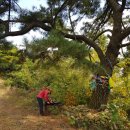 와우2리 이미지