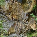 법흥1리 이미지