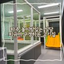 오도72갈비 | 파주 놀이방있는 식당 오도72 숯불갈비 피규어 구경하는 고기집