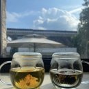 사림로99번길 | 창원 의창구 사림동 비 오는 날 운치 있는 [카페 가로수] 국제사격장 인근 카페 내돈내산 후기