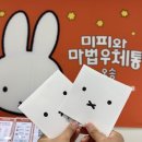 미피 전시회 후기, 미피 in 오송