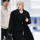 마고 스튜디오 이미지