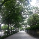 한강공일오비(015B) 이미지