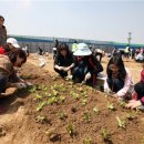 박종일농장 아시아경제