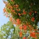 주연빌딩 이미지