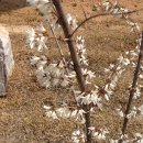 미선식당 이미지