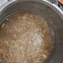 송이버벗 이미지