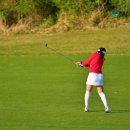 그린필드 | 제주시 골프장 예약 요즘 컨디션 좋은 제주 그린필드cc 후기