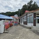 스테이서프픽 이미지