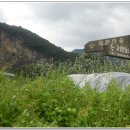 제장농장 이미지