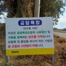 동광목장 | 안덕면 당오름 (제주도 오름 39 ) : 입구는 찾기 힘들었지만 전망은 좋았던 오름