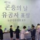 다해어린이집 | *곤충다해*곤충의 날 후기