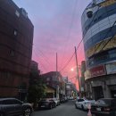 평화고등학교 | 5월 특 : 날씨는 '누워라' 하는데 현실은 '뛰어라' 함