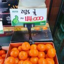 총각네수지