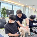 추건우애견미용학원
