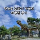 안면도쥬라기박물관 | (안면도여행) 안면도 쥬라기 박물관 재방문 후기