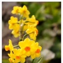 천지연 앞 이미지