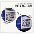 넘버원닥터 | 산본두피 닥터모락 산본점 탈모 측정 후 정화 복구 케어 솔직 후기
