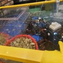 어부의밥상 송내본점 이미지