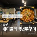 개미들의 백년 쭈꾸미