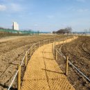 단장체육공원 이미지