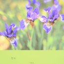 엘림랜드(주) 이미지